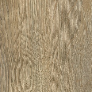 Moduleo Transform - Plover wood 22232