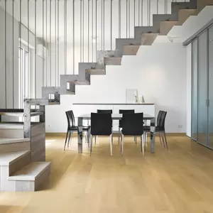 Aspecta Elemental XL - Onega