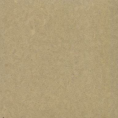 Soft Dusty Yellow 909